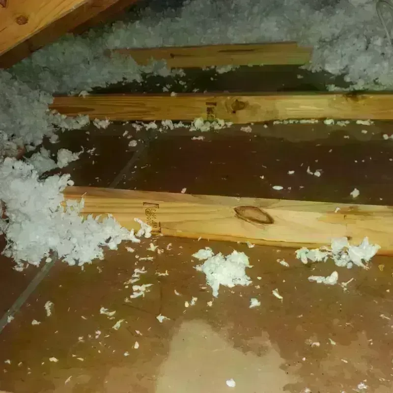 Attic Water Damage in East Hartford, CT