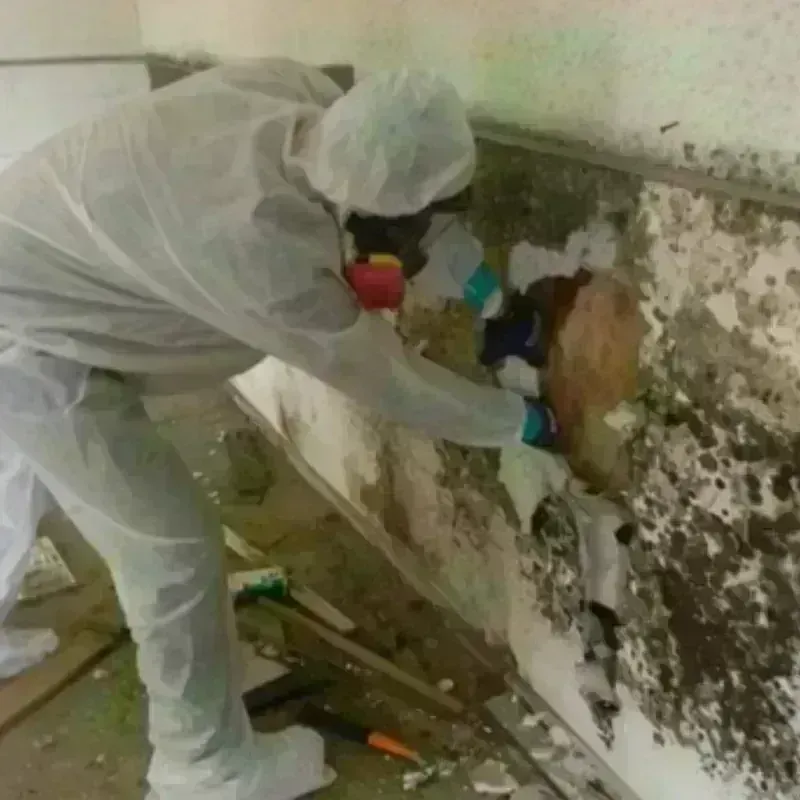 Mold Remediation and Removal in East Hartford, CT