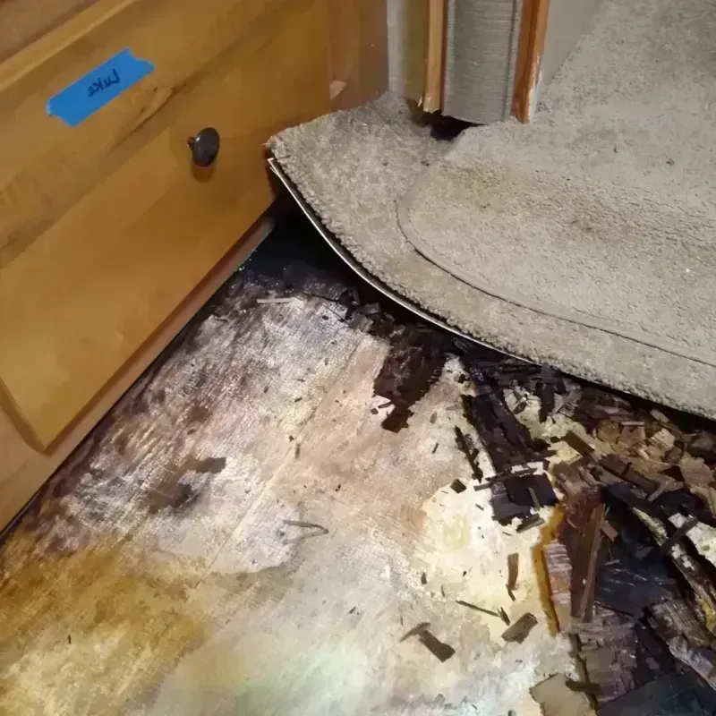 Wood Floor Water Damage in East Hartford, CT